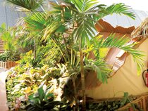 Tropical Islands Zelte