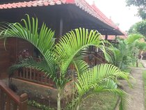 Island Garden Huts Lembongan