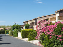 Domaine les Tamaris