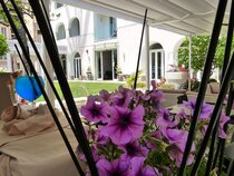 Il Piccolo Giardino