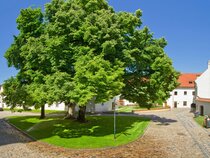 Hotel Monastery