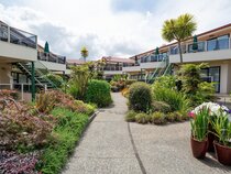 Taupo Ika Nui