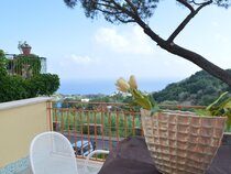 Hotel Polito
