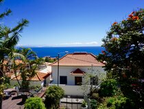 The Flame Tree Madeira
