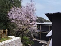 Banyan Tree Higashiyama Kyoto
