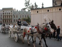 Kazimierz II
