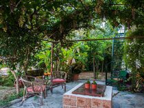 Zante Nest Studios & Apartments