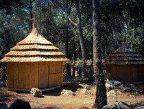 Pine Beach Pakostane
