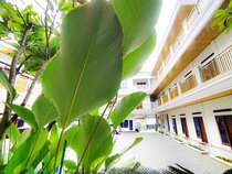 Hometown Residence