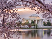 Washington DC