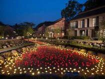 Flora Creek Chiang Mai