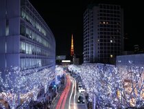 The Lively Azabujuban Tokyo