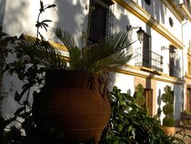 Finca Eslava