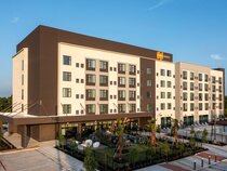 The Woodlands