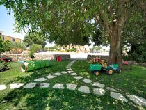 Artemisia Resort