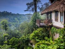 Nandini Jungle by Hanging Gardens