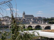 Fleur de Loire