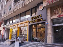 Gold's Pyramids Hotel