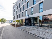 the niu, Timber Esslingen