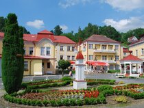 Hotel Lesní Zátiší