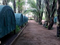 Tegal Dukuh Camp by ZUZU