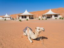 Desert Nights Camp