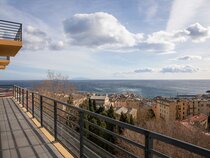 Adonis Le Bastia