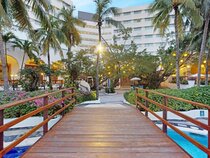 Grand Oasis Palm