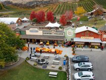 Holiday Inn Express Vernon