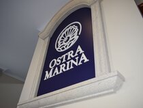 Vida Ostra Marina