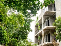 Cenote Casa Tortuga Tulum