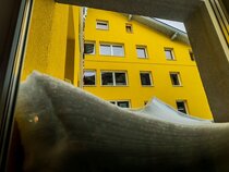 Hotel BASEKAMP