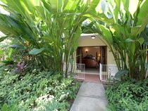 Negril Palms Hotel