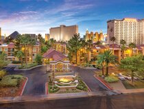 Desert Rose Resort
