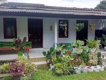 Homestay Wijaya Mulya