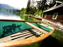 AKTIVHOTEL Weißer Hirsch