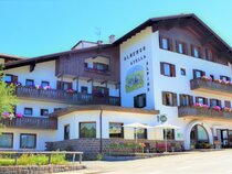 Hotel Stella Alpina