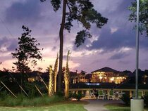 Best Western Plus Myrtle Beach
