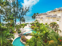 Bougainvillea Barbados
