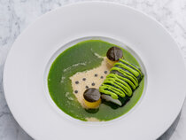 The Ring Vienna's Casual Luxury Hotel