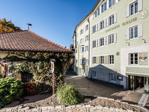 Grüner Baum Hotels