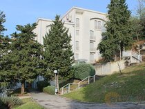 Hotel Delfin