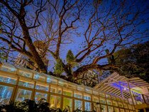 Sino House Hotel Phuket Town