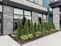 Holiday Inn Express & Suites Toronto Airport South