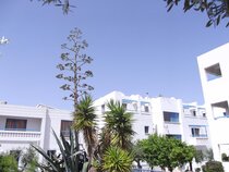 Kefalonitis Apartments