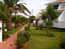 Oasis Hotel