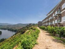 Delfim Douro Hotel