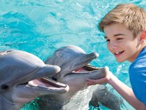 Sea World Area