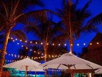 Cadillac Hotel & Beach Club, Autograph Collection