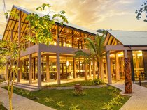 Oak Ray Wild Yala